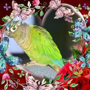 Meet your Posher, David n brandie